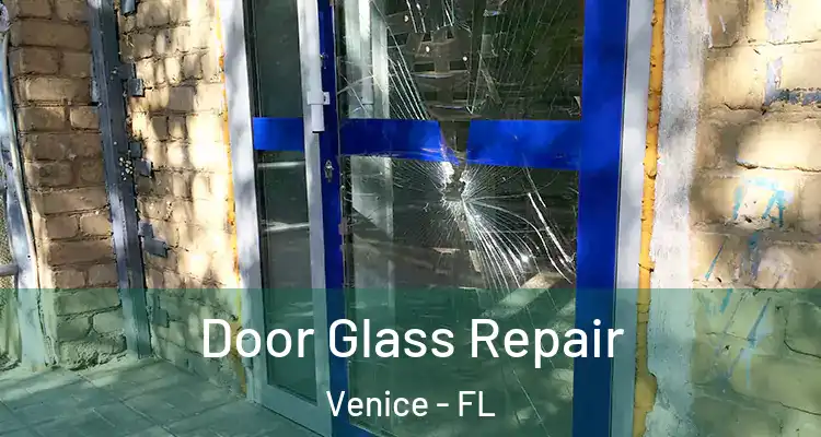  Door Glass Repair Venice - FL