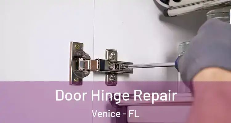 Door Hinge Repair Venice - FL