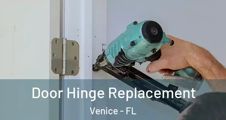  Door Hinge Replacement Venice - FL