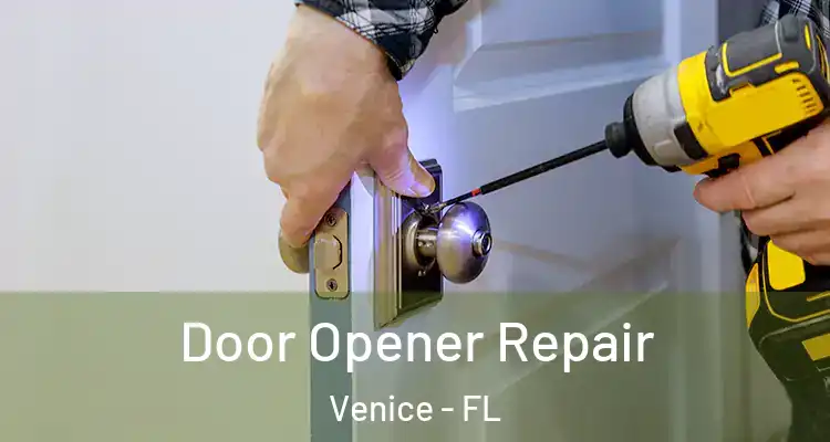  Door Opener Repair Venice - FL