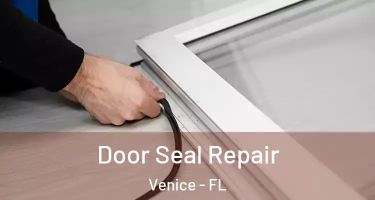  Door Seal Repair Venice - FL