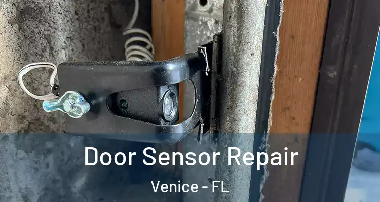  Door Sensor Repair Venice - FL